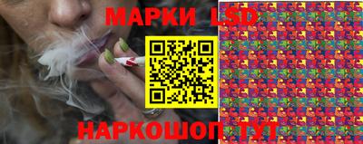 гашик Кунгур