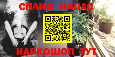 гашик Кунгур