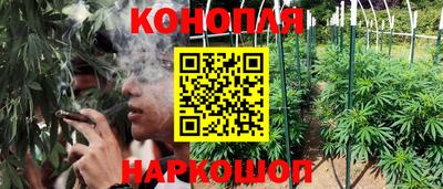 гашик Кунгур