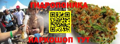 гидропоника Кулебаки