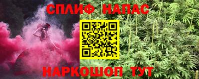 гашик Кунгур