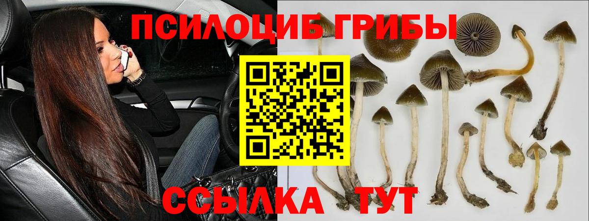 Иваново  Галлюциногенные грибы Magic Shrooms  Вход с VPN  Галлюциногенные грибы GOLDEN TEACHER 